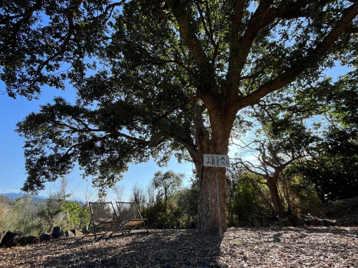 Tegueste Finca El Roque מראה חיצוני תמונה